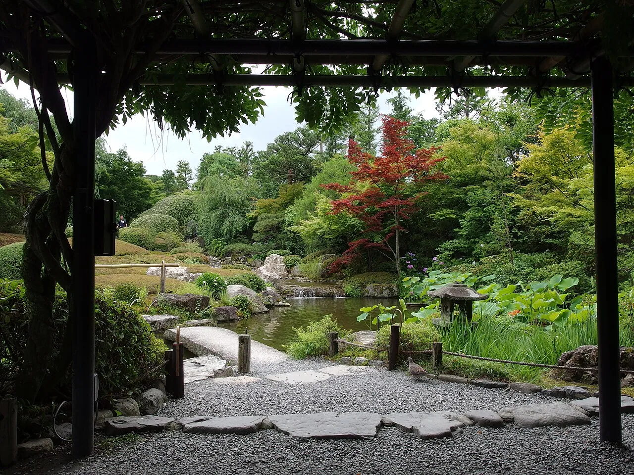Garden at Taizō-in, Myōshin-ji temple, Kyoto, Japan