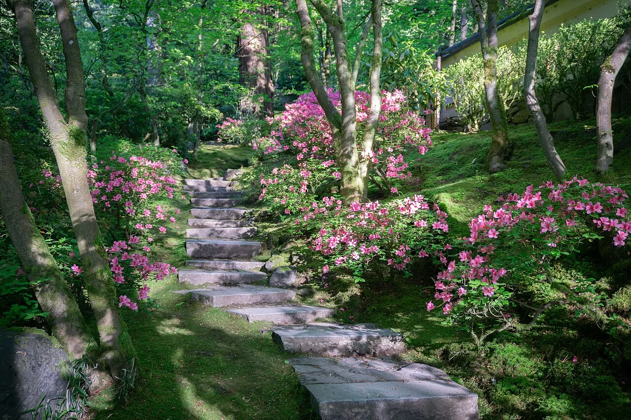 The peaceful Natural Garden at Portland Japanese Garden