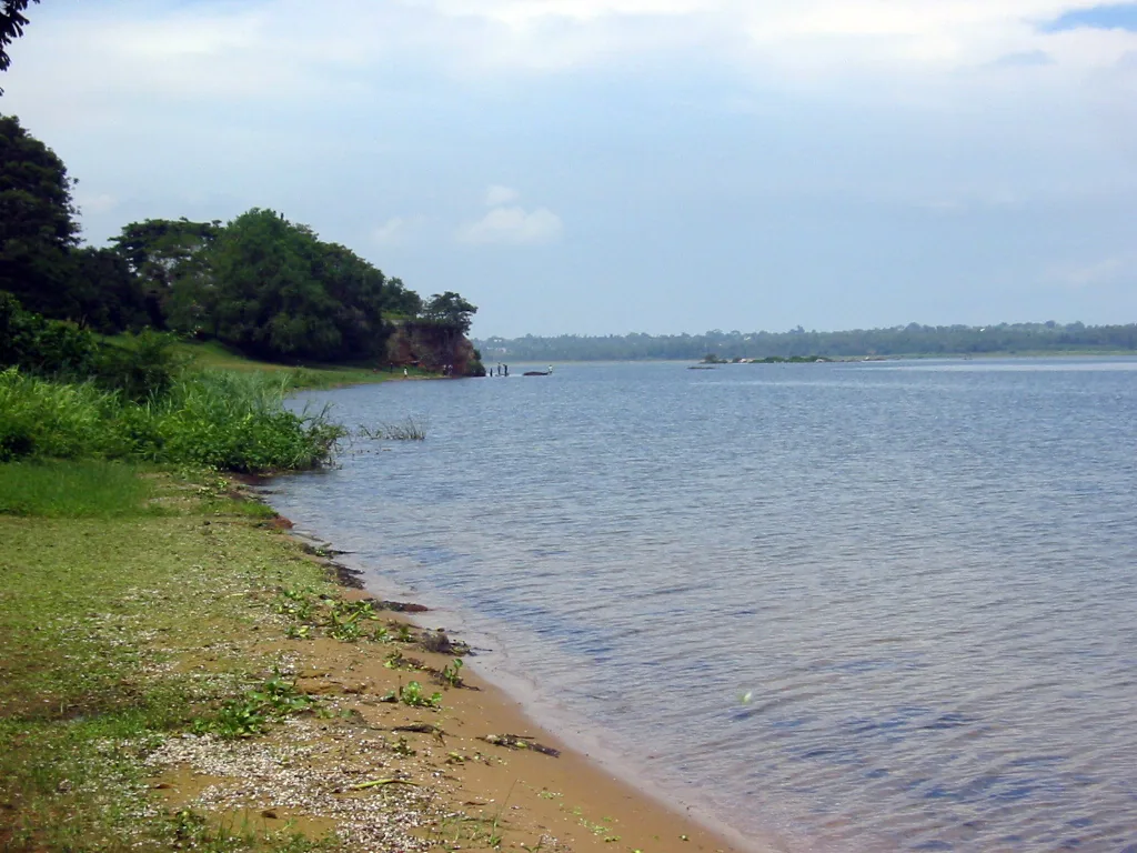 Lake Victoria shoreline at Entebbe, Uganda